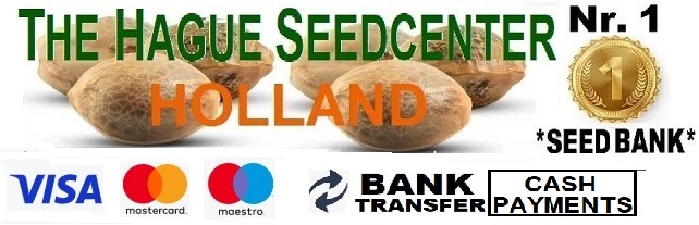 Cannabis Seeds - Autoflower & Feminized Seeds | The Hague Seedcenter Holland