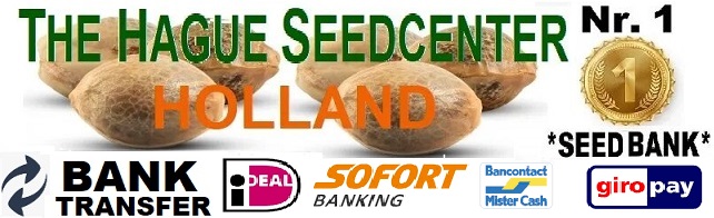 Cannabis Seeds - Autoflower & Feminized Seeds | The Hague Seedcenter Holland